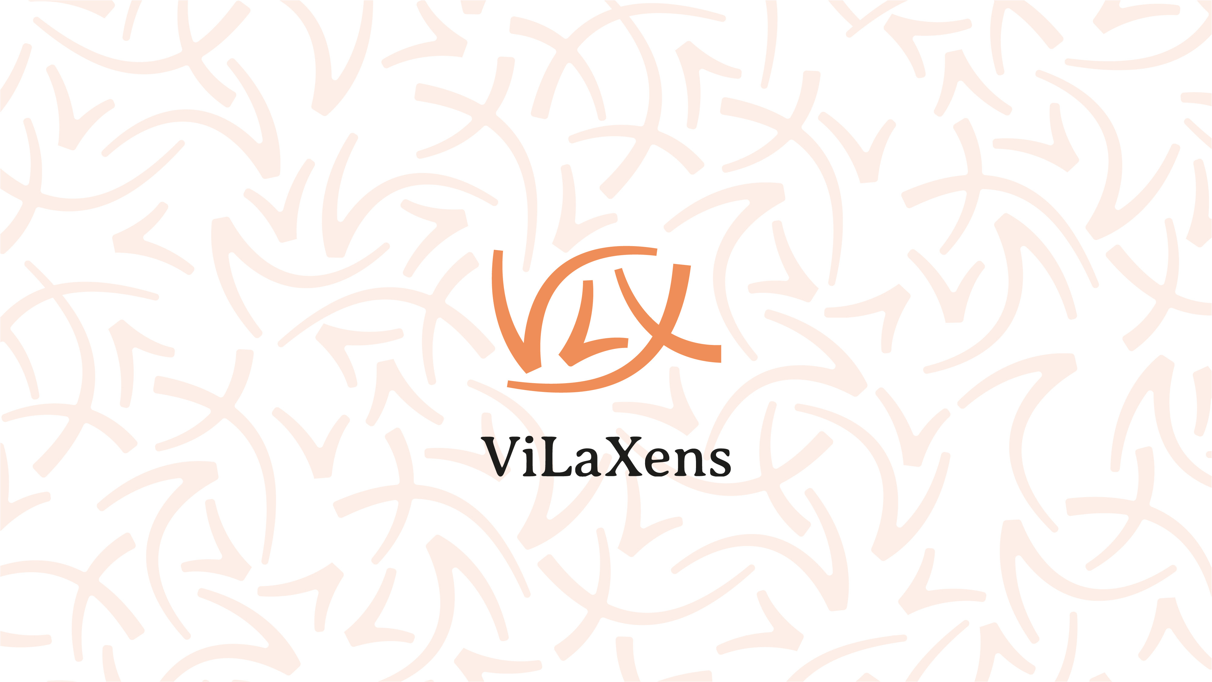 ViLaXens — visuel principal